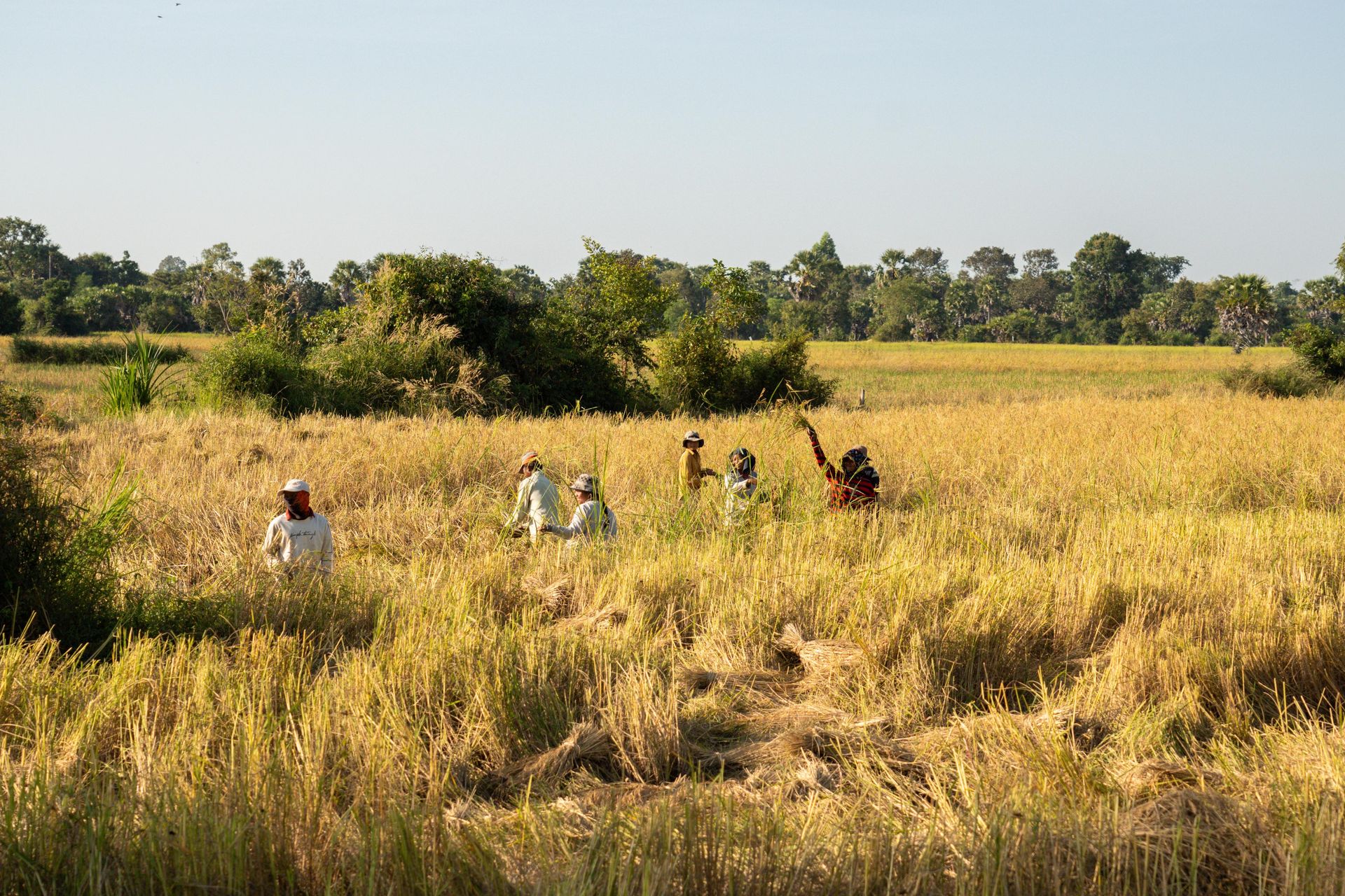 24+-+11+-+DT+-+Shawnee+-+Emily+Hulbert+-+19